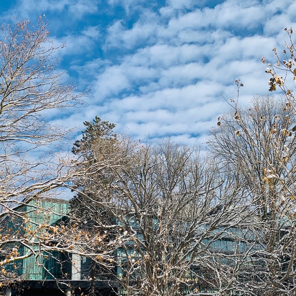 Meet your Posher, Michelle - Picture 1 of 1